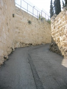 The Path Maybe Lonely and Hard